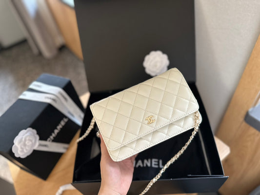 (102) Chanel Bag