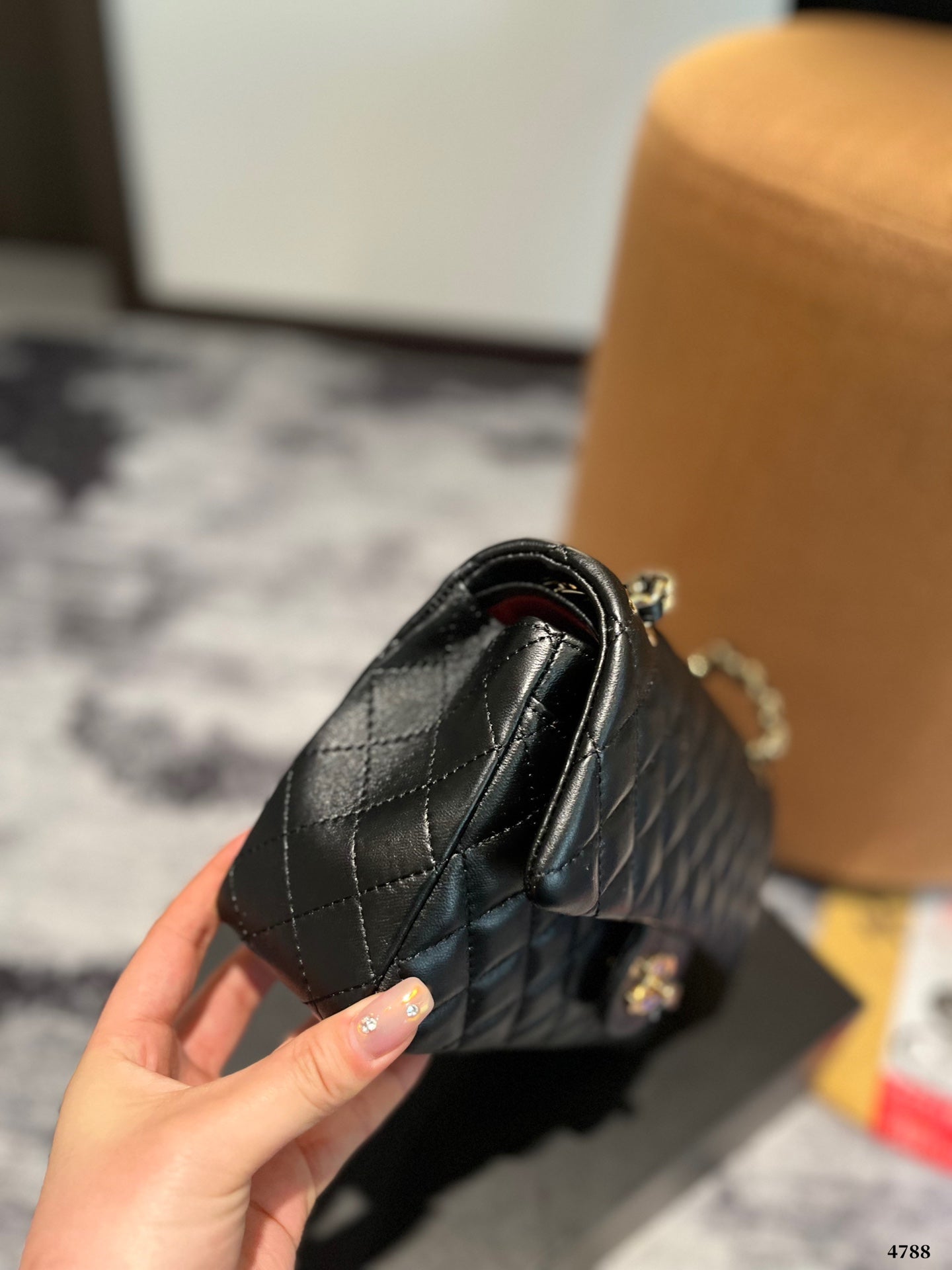 (41) Chanel Bag