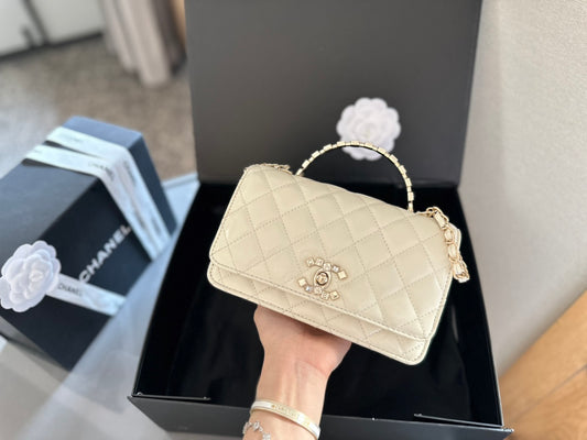 (30) Chanel Bag