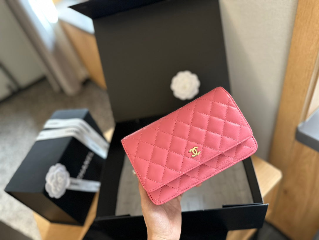 (103) Chanel Bag