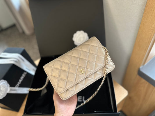 (105) Chanel Bag