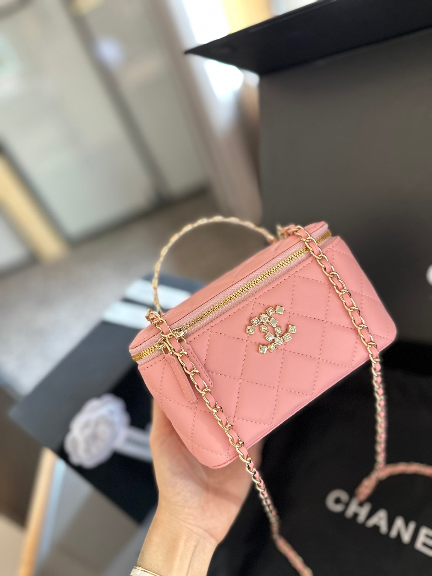 (37) Chanel Bag