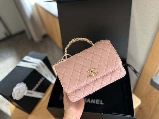 (27) Chanel Bag