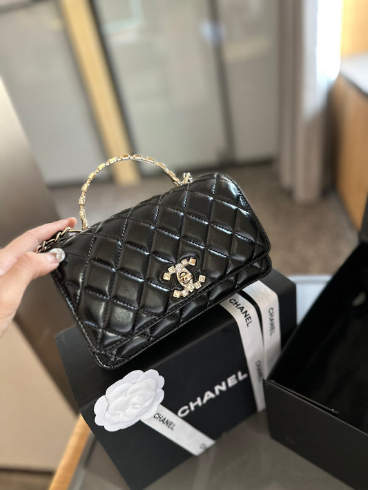 (31) Chanel Bag