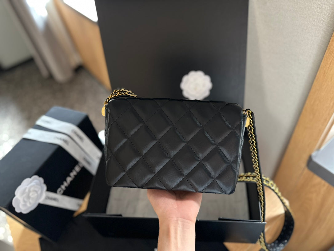 (110) Chanel Bag