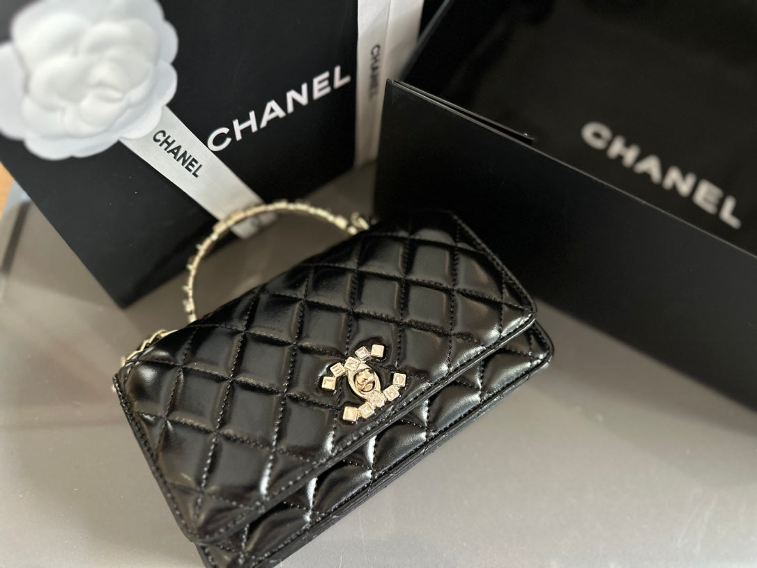 (31) Chanel Bag