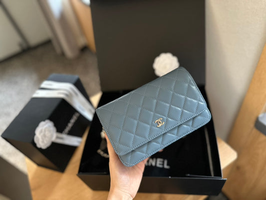 (104) Chanel Bag