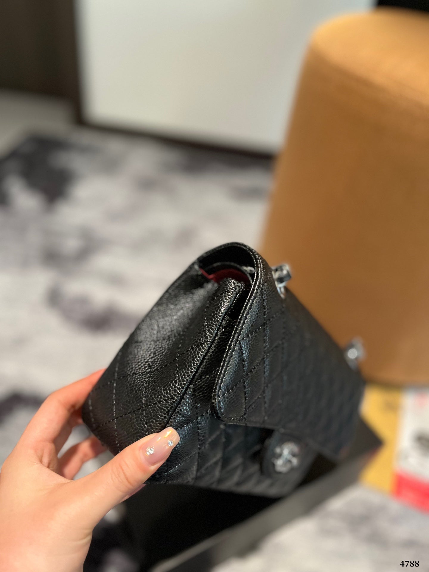 (40) Chanel Bag