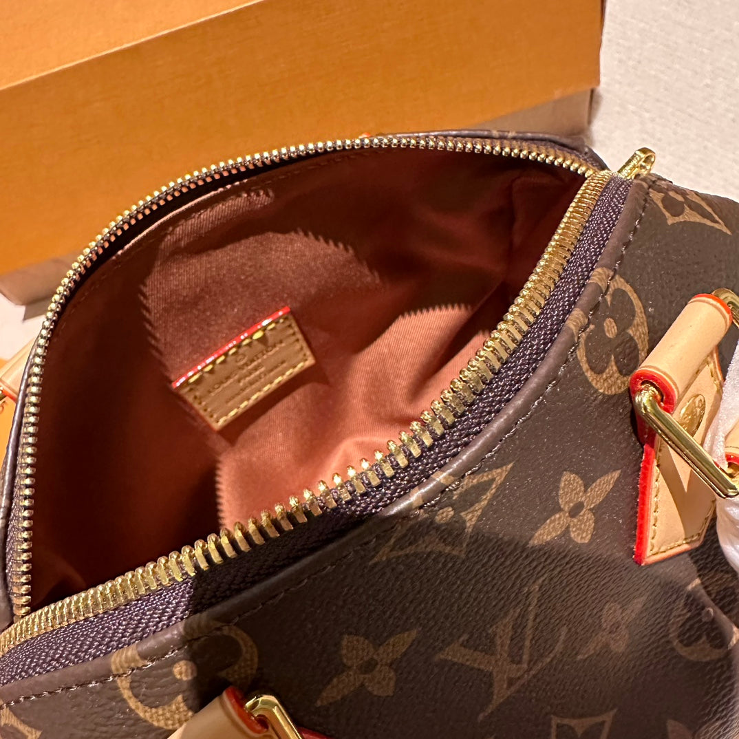 (14) Louis Vuitton Bag (small)