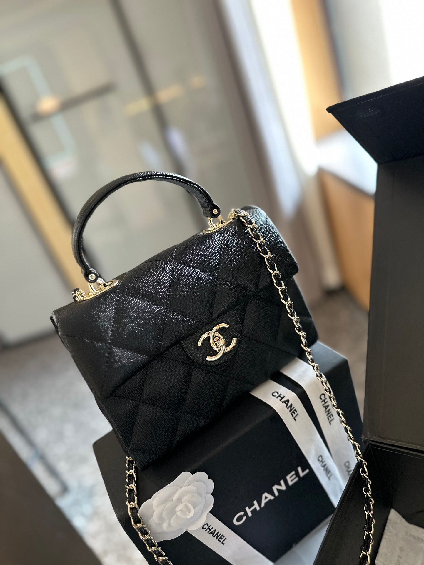 (111) Chanel Bag