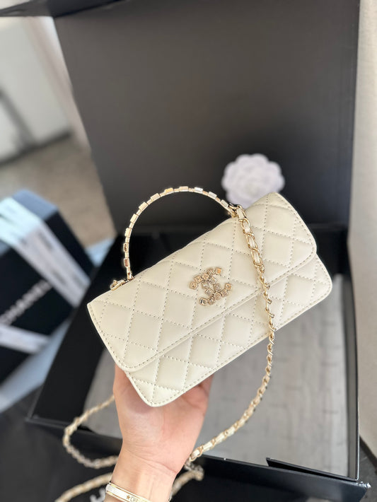 (33) Chanel Bag