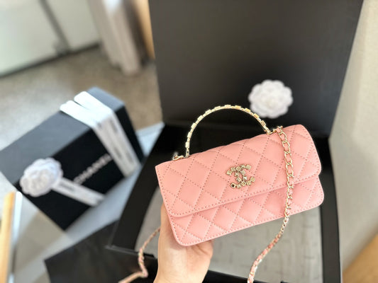 (34) Chanel Bag