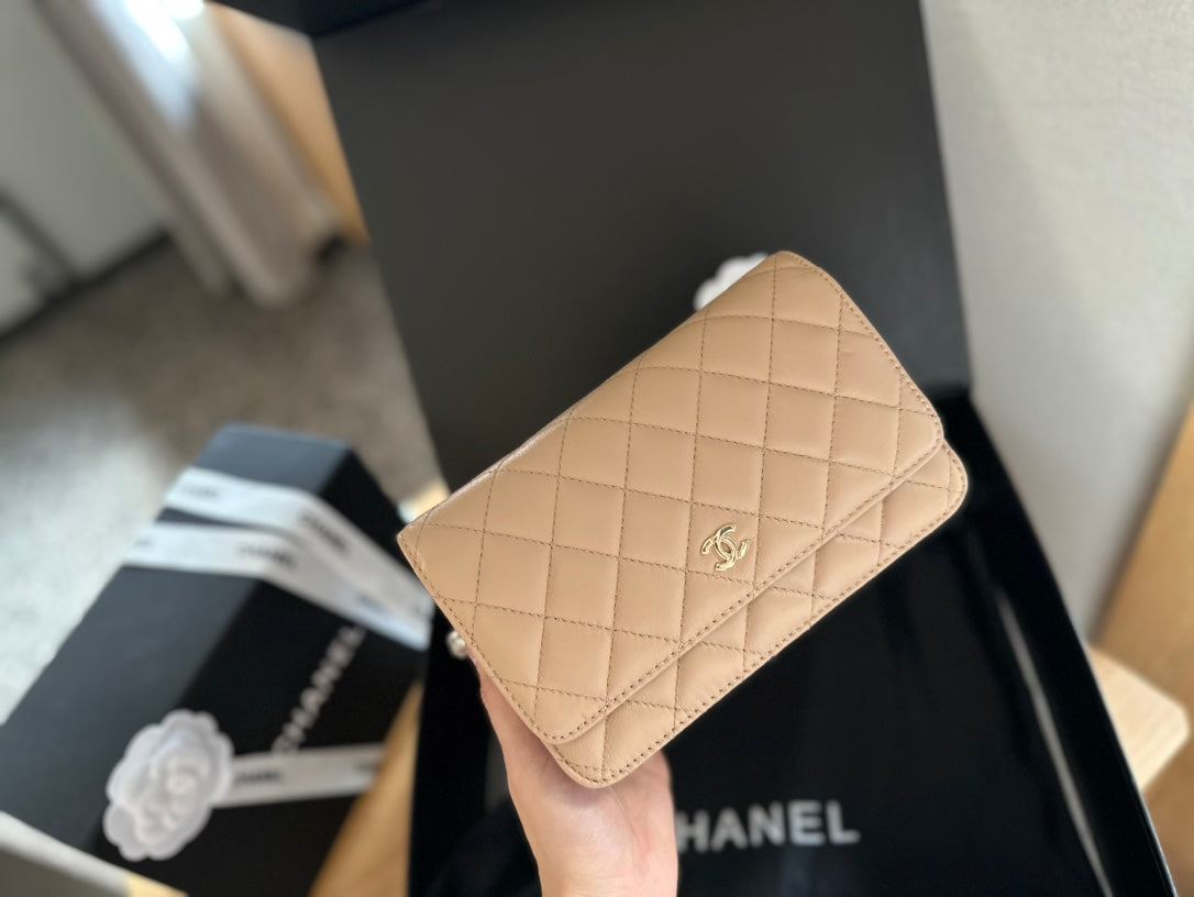 (109) Chanel Bag