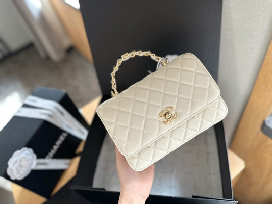 (26) Chanel Bag