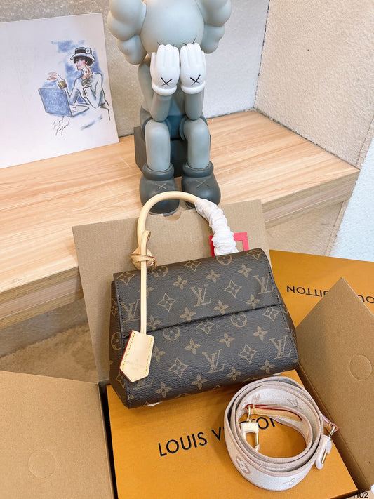 (12) Louis Vuitton Bag