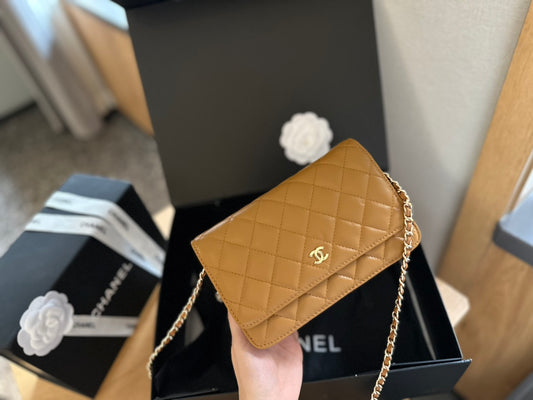 (108) Chanel Bag