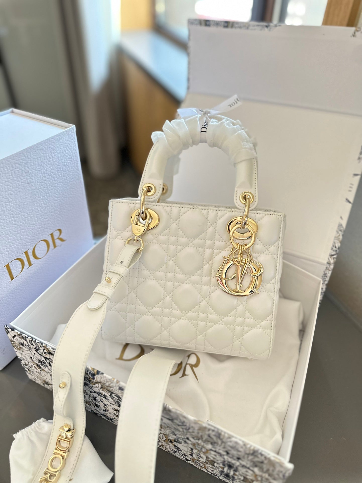 Dior Bag