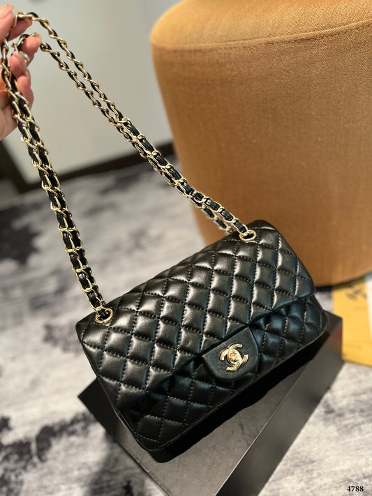 (41) Chanel Bag