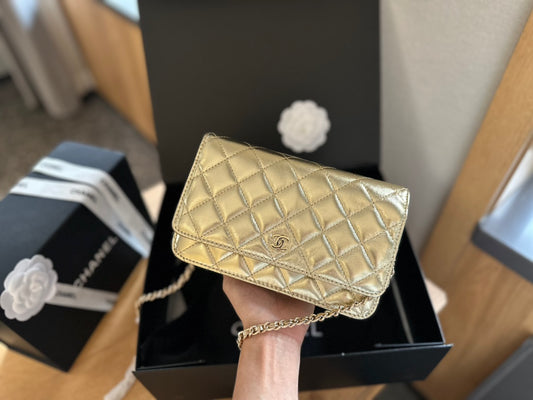 (106) Chanel Bag