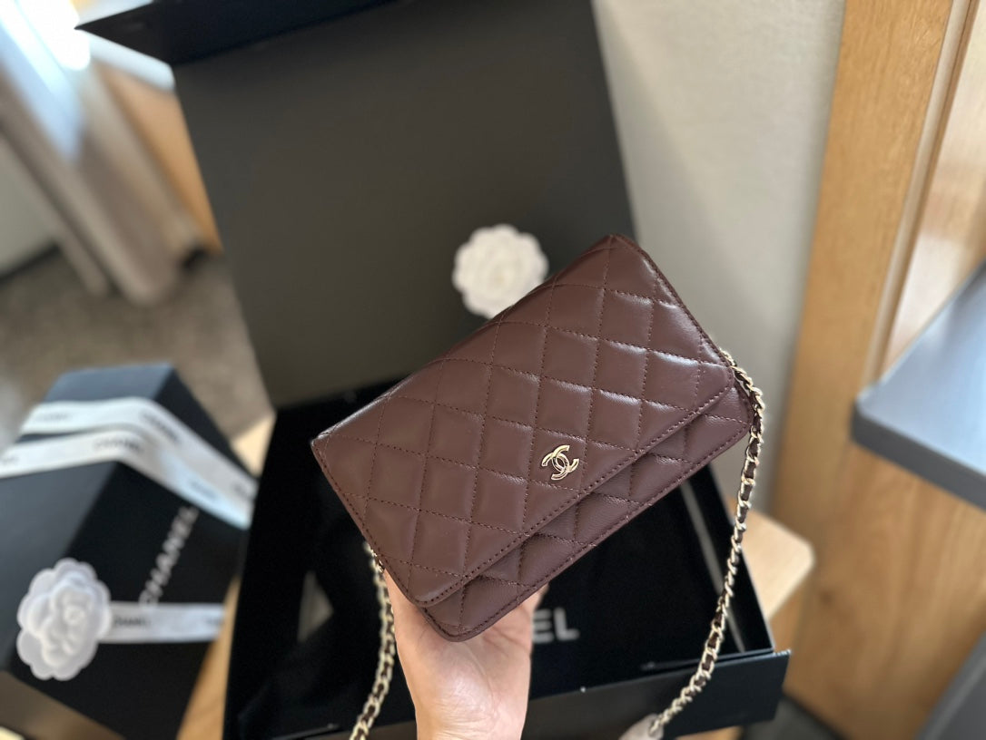 (107) Chanel Bag