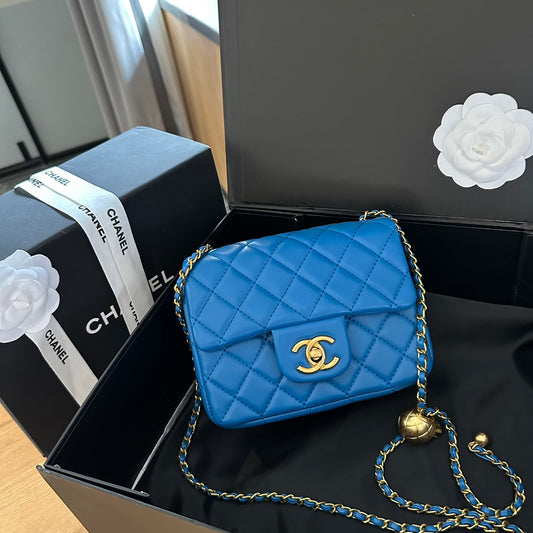 (43) Chanel Bag